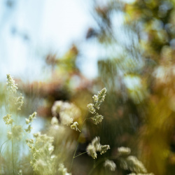 Image-154019