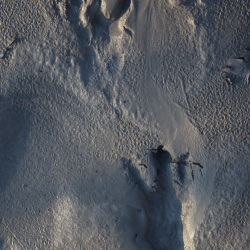 Image-154968