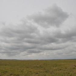 Image-157791