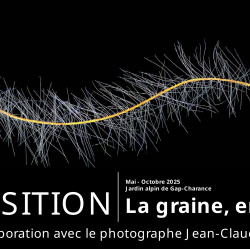 Image-159509
