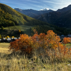 Image-159882