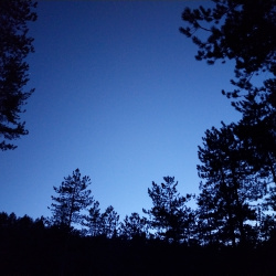 Image-160699