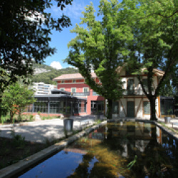 Image-160898