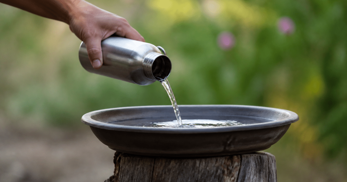 Main versant eau dans récipient peu profond surélevé