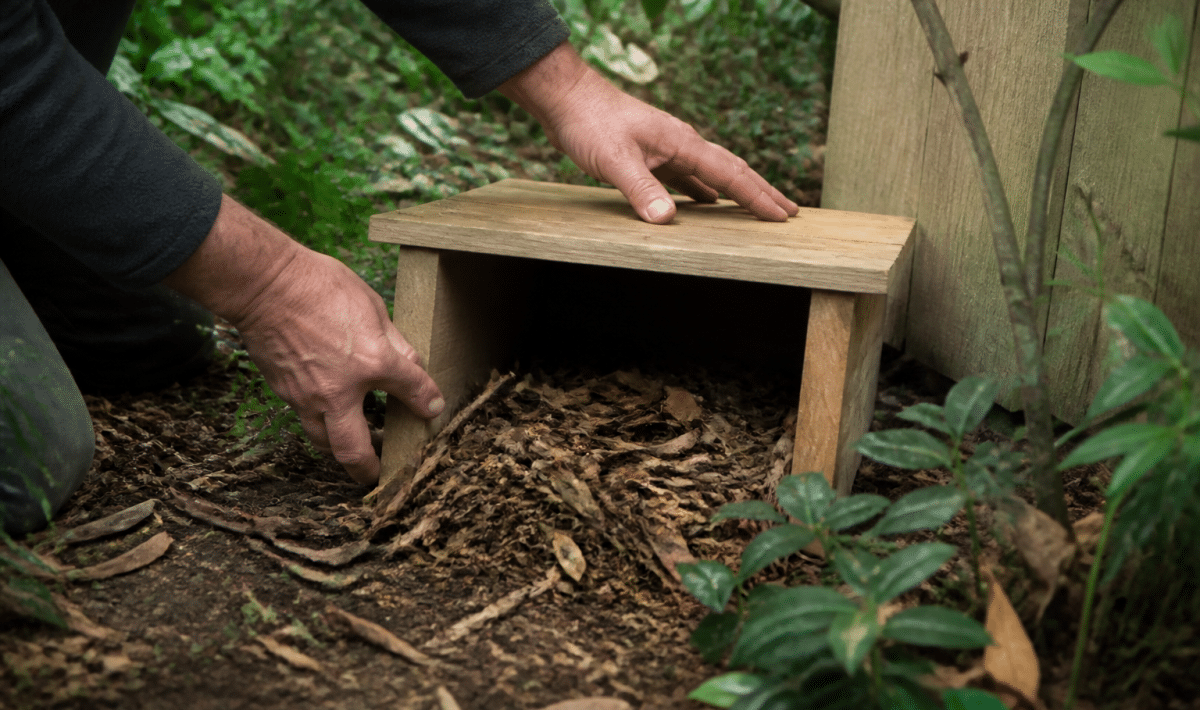 Mains construisant petit abri bois ouvert herisson