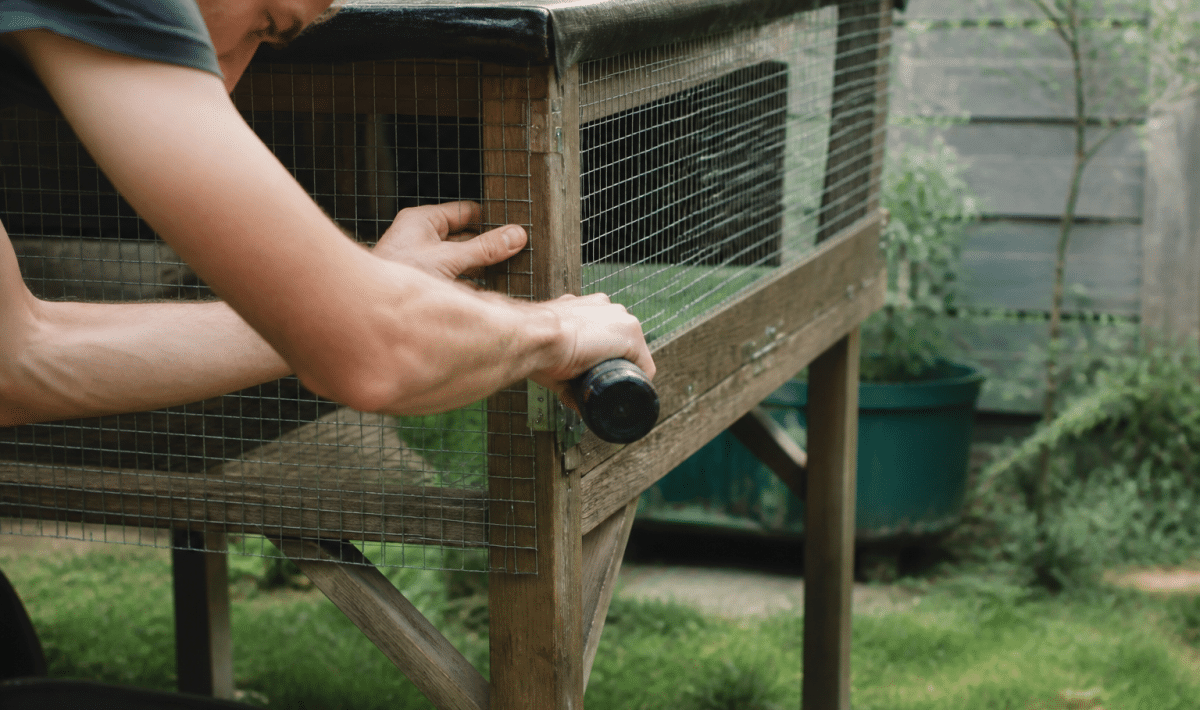 Main construisant cage grillagée surélevée pour lapin domestique