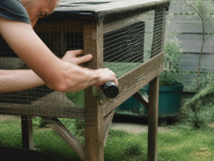 Main construisant cage grillagée surélevée pour lapin domestique