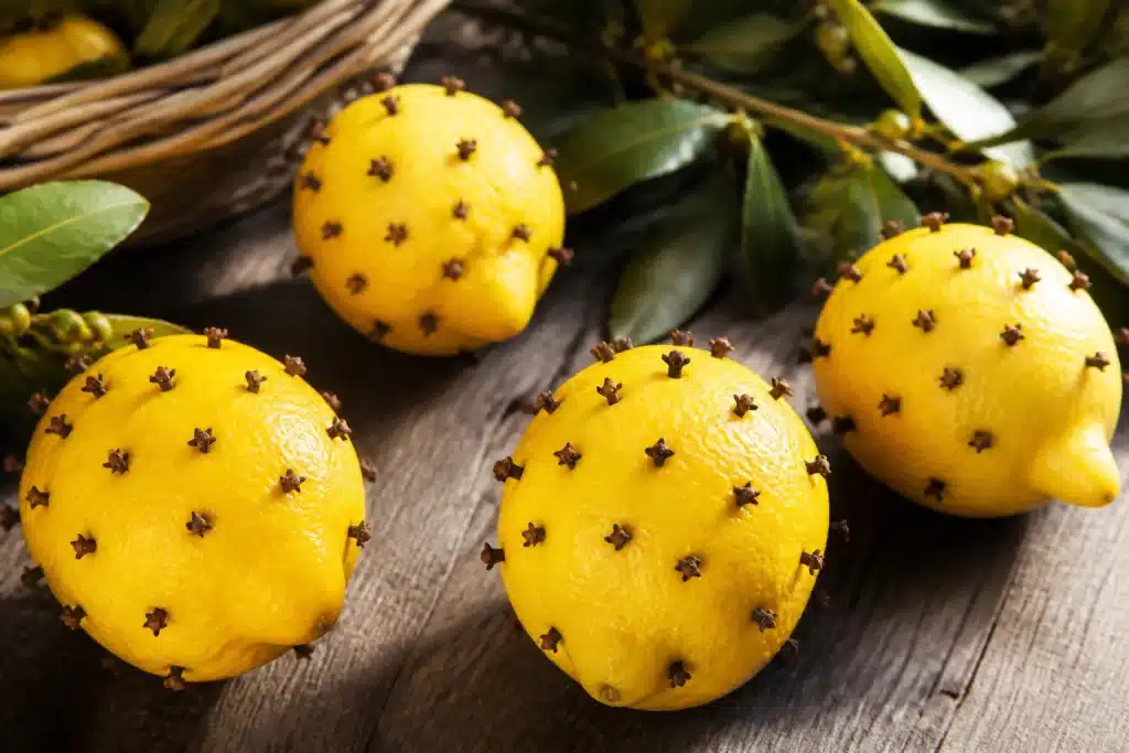 Citrons jaunes piqués de clous de girofle sur table