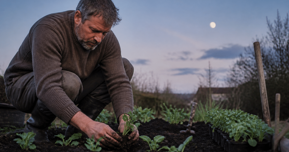 Jardinier plantant des semis sous phases lunaires visibles