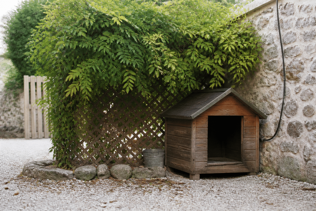 Niche chien positionnée contre mur avec protection végétale