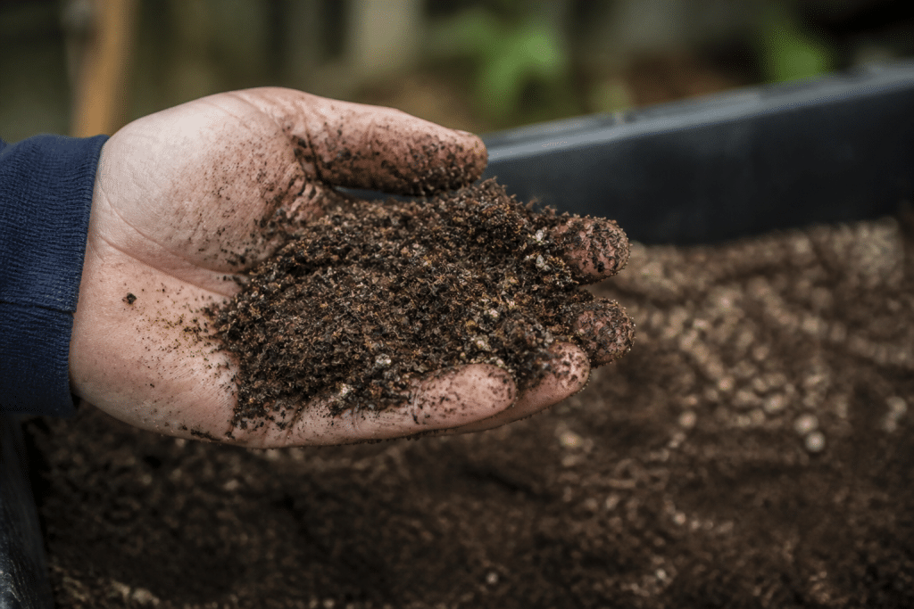 Main enrichie de compost brun foncé et sable grossier mélangés