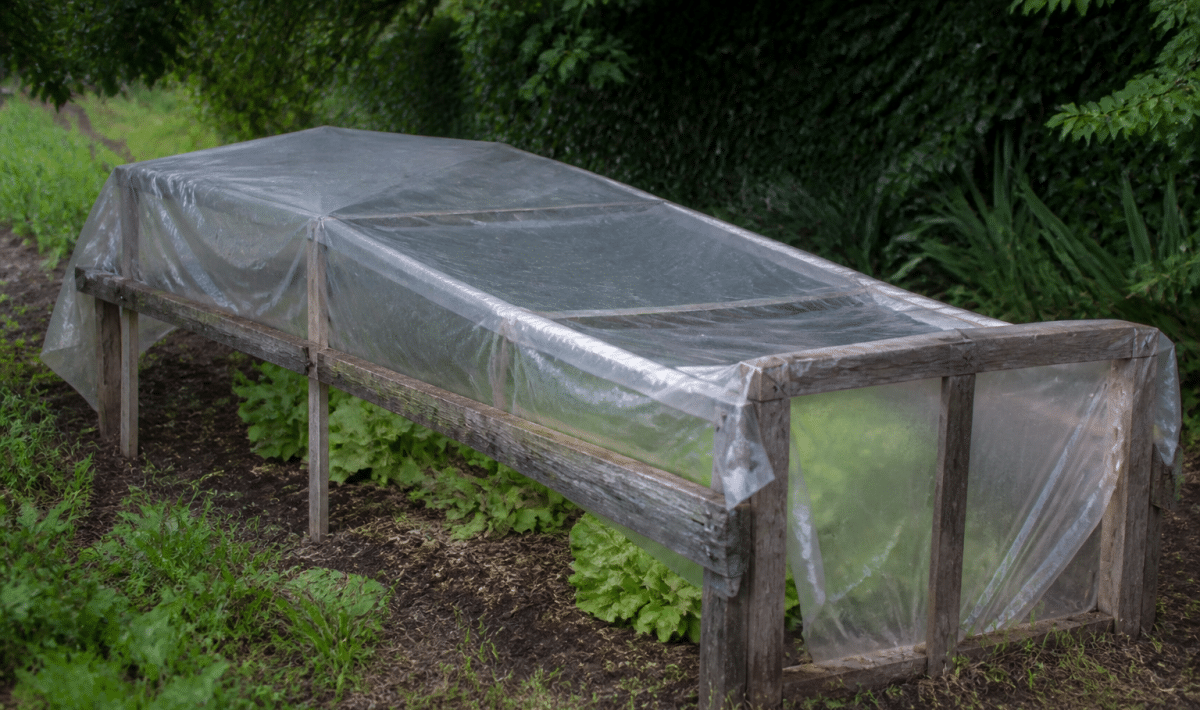 Cadre en bois recouvert de plastique transparent dans jardin potager