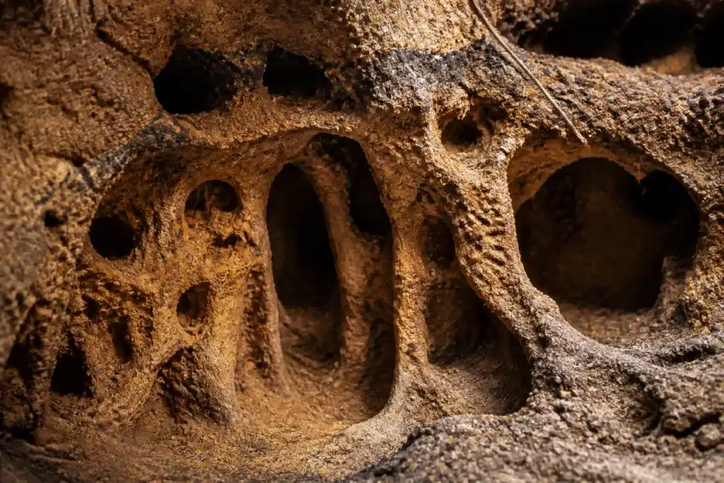 Galeries souterraines creusées dans terre meuble aérée