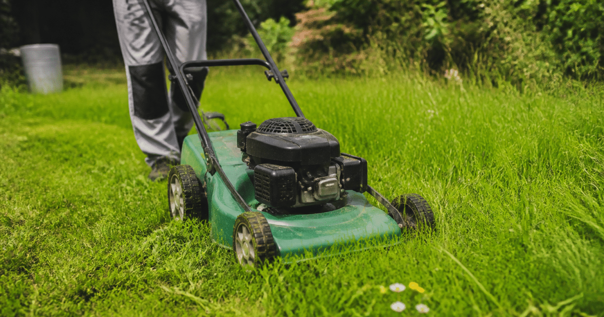 Tondeuse verte coupe herbe verte dense jardin