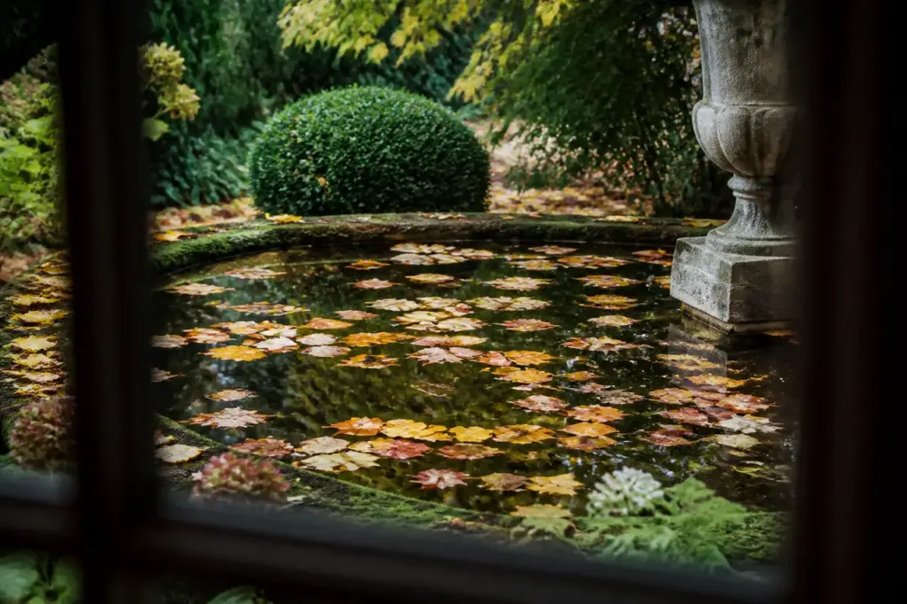 Feuilles mortes flottant dans un bassin de jardin