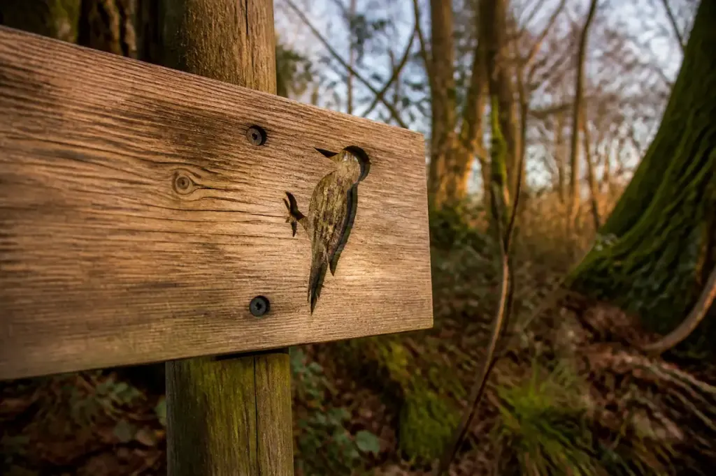 Panneau en bois signalant reserve naturelle dans la foret