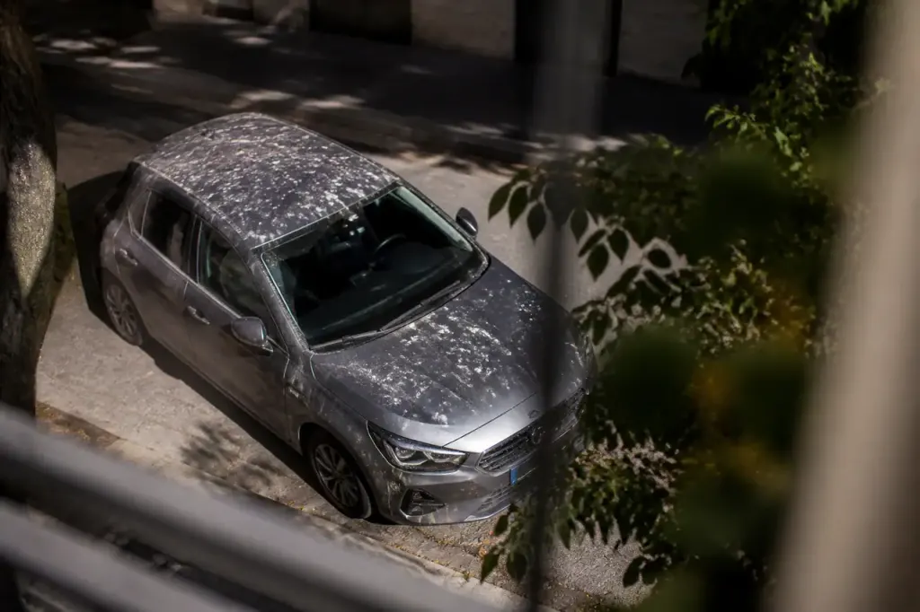 Voiture grise couverte de fientes blanches sur un trottoir